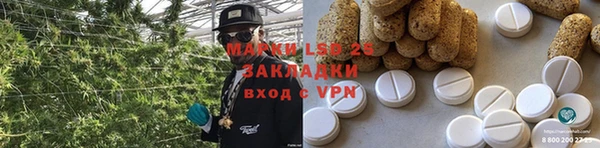 индика Алзамай