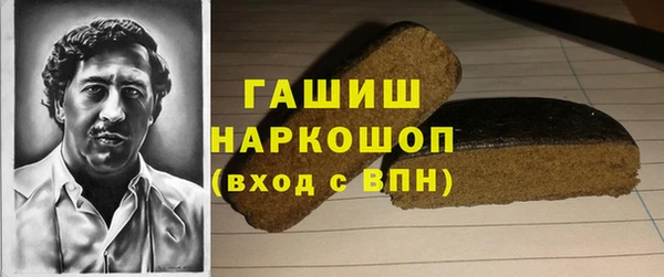 хмурый Алексин