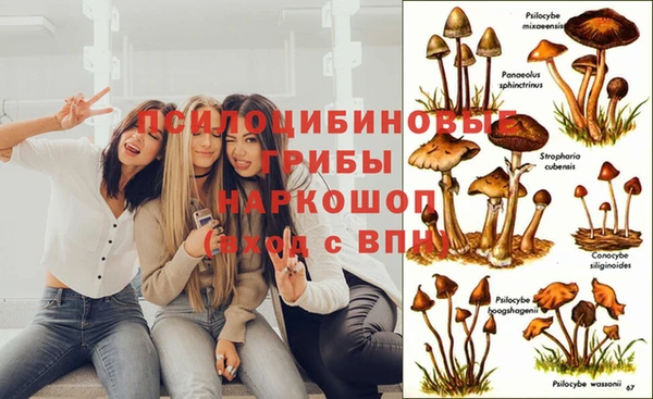 хмурый Алексин