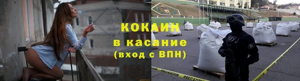 индика Алзамай