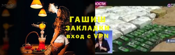 хмурый Алексин