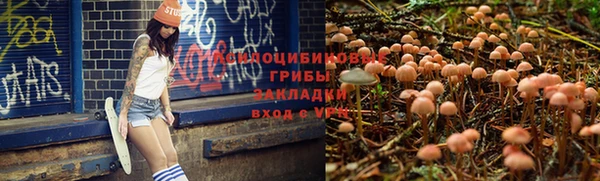 стаф Алексеевка