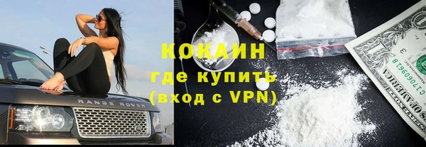 индика Алзамай