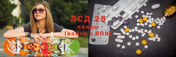 индика Алзамай