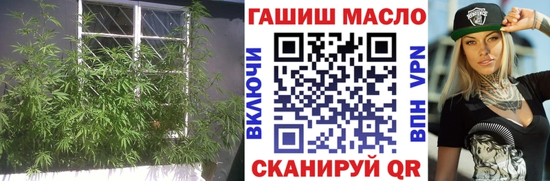 ТГК жижа  kraken сайт  Жуковский  магазин продажи наркотиков 