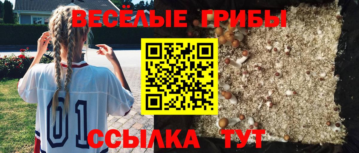 Жуковский  Псилоцибиновые грибы мухоморы  Вход с VPN  Галлюциногенные грибы MAGIC MUSHROOMS 