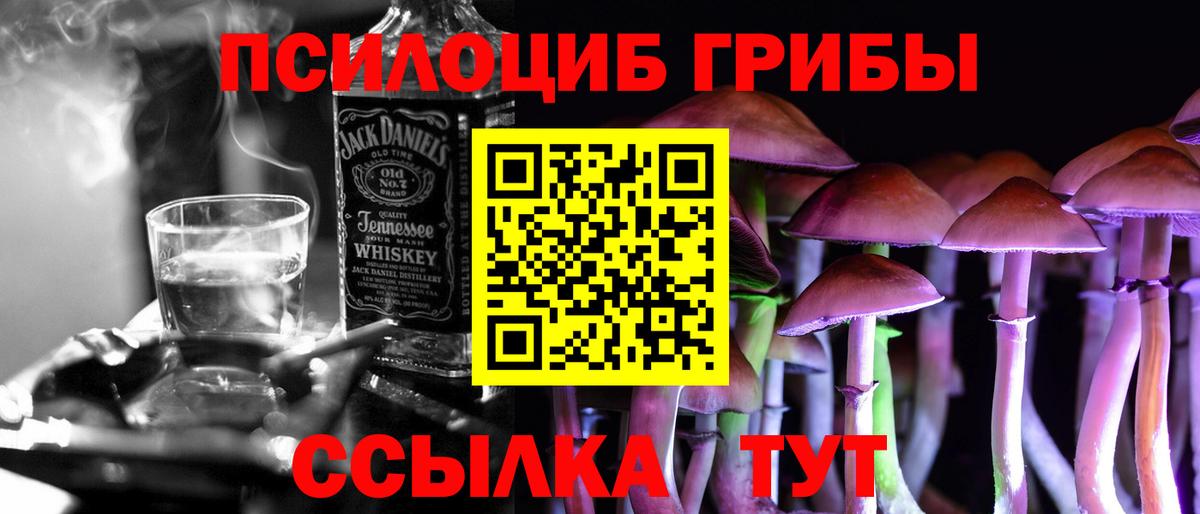 Галлюциногенные грибы Psilocybe Жуковский